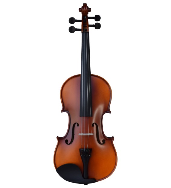 V3010/AT